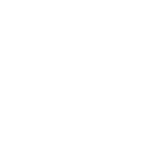 FLYING COLOURS logo