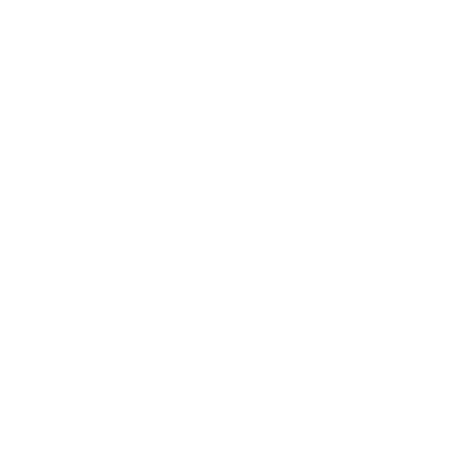Ophir Gin logo