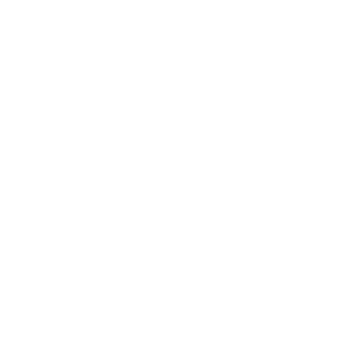 Puma logo