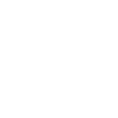 Seen presents logo