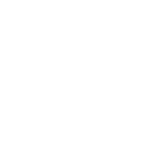 salt logo